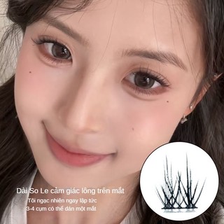 Mi giả tự nhiên Edelweiss mới, mười hàng, dung tích lớn