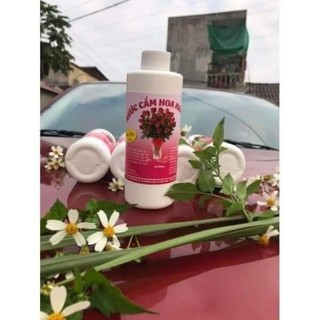 Nước cắm hoa 400ml giúp hoa tươi lâu, khử thối gốc, kích nở nụ, dùng cho mai đào tulip