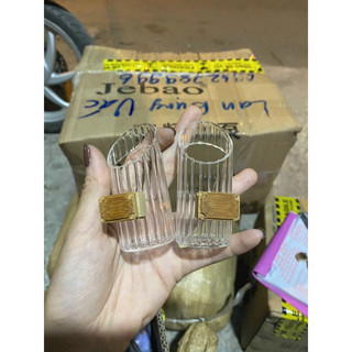 Cóng chống vẩy thuỷ tinh lồng chim chào mào, mi, khuyên, yến