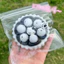 PS1 Siêu Mềm Đen Trắng Raspberry Tart Hello Kitty Squishy Đồ Chơi Mềm Chậm Rebound Giảm Căng Thẳng Fidget Đồ Chơi SP1