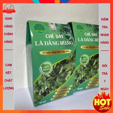 40 gói trà túi lọc chè dây, lá đắng rừng, trà dây, đau dạ dày, loét dạ dày, tá tràng, mát gan