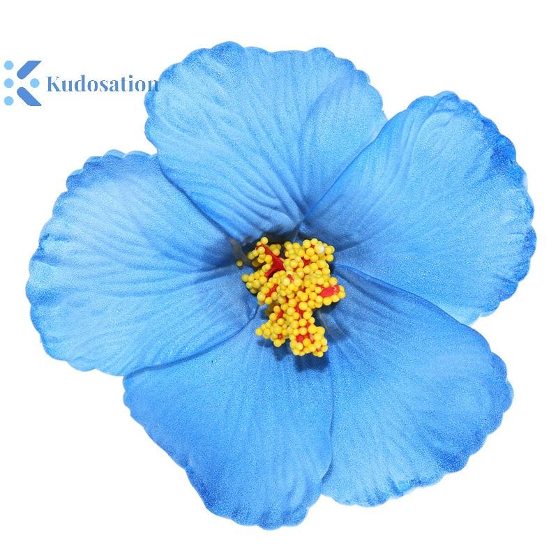 Kudosation Hawaii Hoa Nhiều Màu Sắc Cho Nữ Cô Gái Lãng Mạn Bohemian Hoa Bên Nổ Kẹp BB Kẹp Tóc Phụ Kiện Tóc