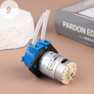 Máy bơm tự mồi TWE Máy bơm nước Máy bơm nhỏ Máy bơm tuần hoàn điện VN