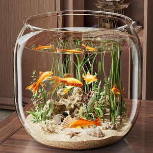 Bể Cá Nhựa Giả Thủy Tinh Chống Sốc Trong Suốt Văn Phòng Cá Vàng Nhỏ Bể Cá Micro Phong Cảnh Sinh Thái Cảnh Quan 24.11.6