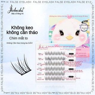 Lông mi giả không dính, mắt to ăn ảnh, lông mi đơn, lông mi tự nhiên