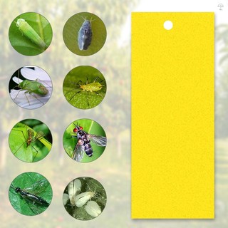 Bẫy Dính Cho Cây Bay Côn Trùng Nấm Gnats 20 Chiếc 20 * 10cm Bẫy Côn Trùng Bay Hai Mặt Có Thể Cắt