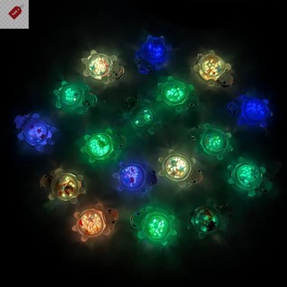 ALIK 1 Vườn Cá Thu Nhỏ Đồ Trang Trí Dạ Quang Lấp Lánh Rùa Trang Trí Nhà Cửa Cảnh Quan Thủ Công Phát Sáng Rùa VN