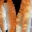 GUSTAVA Flounce Wave Ren Vải, 12cm Rộng Màu Sắc Xếp Ly Lưới Organza, 2 Sân DIY Tạo Kiểu May Ruffle Đầm Phụ Kiện Xếp Ly Vải Ren