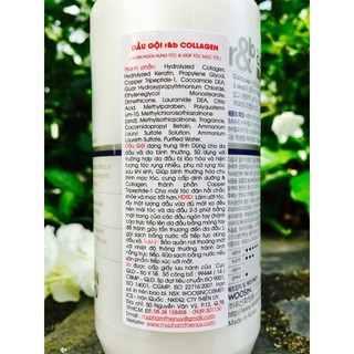 Dầu gội ngăn rụng tóc R&B Collagen Shampoo 450ml [ TN ]