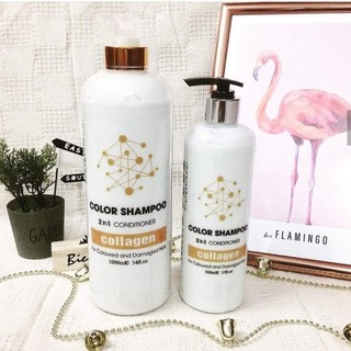 DẦU GỘI GIỮ MÀU công nghệ Ý Color Shampoo 2in1 Conditioner ALGO 1000ml [ TN ]