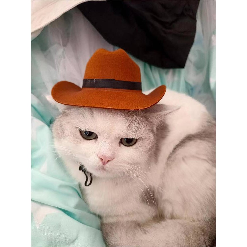 【Ready Stock】 Western Cowboy on the Run Cat Hat Dog Small Headwear Helmet Pet Photo Cute Cute Cute Mini 1YfM