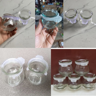 Cóng thuỷ tinh chim chào mào, chích choè, hoạ mi, cu gáy cao cấp