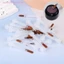 5 / 10 / 20 Chiếc Bàn Chải Sơn Móng Tay Dùng Một Lần Cho 15ml Sơn Móng Tay Chai Thay Thế Bàn Chải Tóc Nâu Nail Art Applicators [beauty]