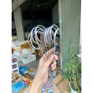 Móc kim tiề.n lồng chim chào mào bản đại