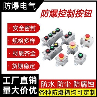 Hộp Điều Khiển Chống Cháy Nổ Bắt Đầu Dừng Loại Đẩy Công Tắc Chống Cháy Nổ Nút Nhấn Đúc Nhôm Tự Cài Lại
