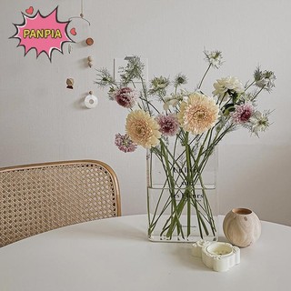 Pnpia Sách Trong Suốt Acrylic Bình Trong Suốt Bình Sách Trong Suốt Cho Hoa INS Bình Trang Trí Nhà Cửa Thủy Canh Để Bàn Hoa Sắp Xếp Boutique