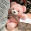 Rytanda Gấu Nhỏ Đồ Chơi Sang Trọng Mô Phỏng Dễ Thương Trái Tim Ôm Khăn Gấu Nhỏ Búp Bê Mềm Làm Đầy Động Vật Búp Bê Thích Hợp Cho Trẻ Em Bạn Gái Sinh Nhật Quà Tặng Giáng Sinh Trang Trí Phòng Ngủ