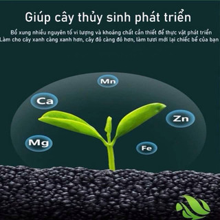 Phân nước tổng hợp (YEE) chuyên dùng cho bể thuỷ sinh cung cấp các yếu tố vi lượng và khoáng chất - Cám Cá Store