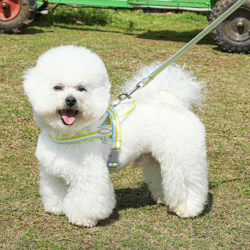 HamshMoc Bộ dây nịt và dây xích thời trang Dây đeo ngực thú cưng có thể điều chỉnh mềm mại Dây dẫn bền thoải mái có tay cầm mềm cho chó Phụ kiện đi bộ