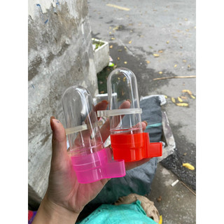 Cóng đựng nước tròn lồng chim chào mào nhựa mica chắc chắn