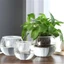 YYLINGX Chậu hoa hấp thụ nước, Đồ dùng làm vườn bằng thủy tinh Chậu hoa hấp thụ nước lười biếng, Chậu trồng thủy canh tự tưới nước chất lượng cao