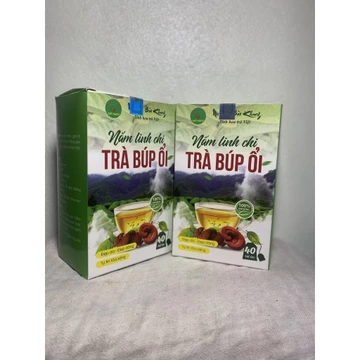 Trà búp ổi nấm linh chi Bảo Khang, hộp 40 gói trà giảm cân, giảm mỡ, thải độc gan, ổn định huyết áp