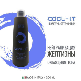 Dầu gội xả tím khử vàng cho tóc màu sáng, tóc bạc, trắng Bes Color Reflection - COOL IT 300mlx2 [ TN ]