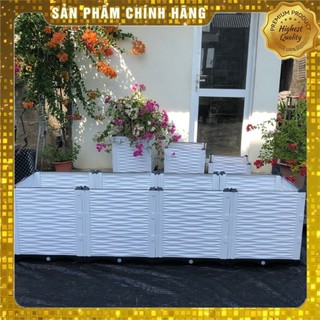 Chậu lắp ghép nhựa HDPE/PP 200x50x55cm: kết cấu chắc, dễ lắp đặt, phù hợp mọi cây trồng đô thị.