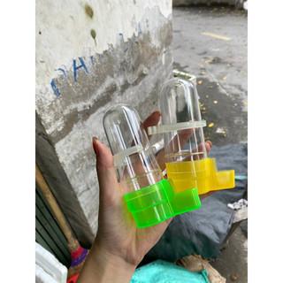 Cóng đựng nước tròn lồng chim chào mào nhựa mica chắc chắn