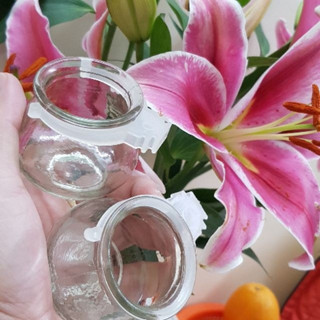 Cóng thuỷ tinh chim chào mào, chích choè, hoạ mi, cu gáy cao cấp