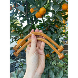 Cầu góc liền khối lồng chim, cầu góc lồng chào mào kèm tai