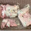 Kẹp Tóc 14 Chi Tiết hellokitty Mỏ Vịt Kẹp Kết Hợp Cô Gái Nhật Bản kT Mèo Hoạt Hình Phụ Kiện Tóc bên kẹp tóc 🌌FREESHIP🌌