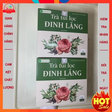 Đinh lăng khô túi lọc (hộp 40 túi), dưỡng não, rối loạn tiền đình, thiếu máu, hoa mắt, chóng mặt