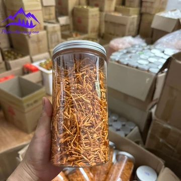Nấm Đông trùng hạ thảo sấy khô thăng hoa (50g) Huy Cương sợi gãy. Trà đông trùng hạ thảo ngâm rượu, ngâm mật ong