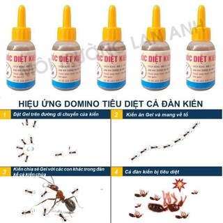 Lọ Thuốc Diệt Kiến và Gián Sinh Học An Toàn. Thuốc Diệt Kiến. Thuốc Diệt Kiến Gián Sinh Học