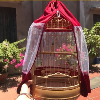 Áo lưới lồng khuyên giá rẻ và Áo khuyên cửa lưới hàng đẹp