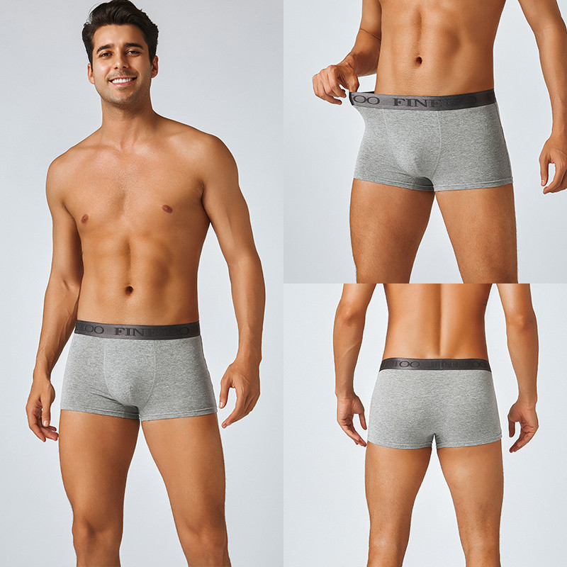 Ảnh Finetoo Cotton Boxer Quần Lót Nam Thoáng Khí Thoải Mái Ngắn Thấm Hút Kháng Khuẩn Quần Lót S-XXL 2