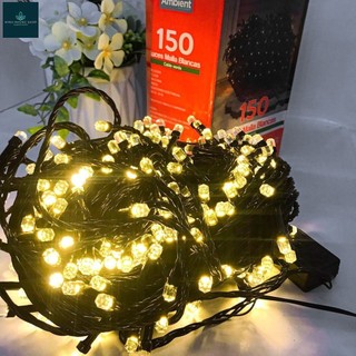 "Dây LED Kim Cương 40M Chống Nước Trang Trí Ngoài Trời Noel, Tết - Đèn Bi Bọt Đẹp"