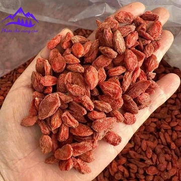 Kỷ tử mộc Ninh Hạ chính gốc sấy khô size đại . Câu kỷ tử, kỷ tử đỏ, kỉ tử đỏ sấy khô, kỳ tử, kì tử đỏ giúp đẹp da bổ máu