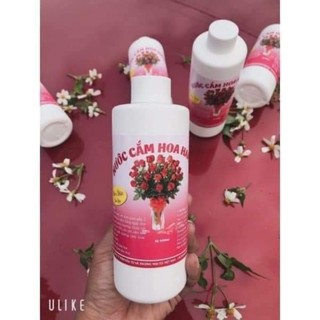 Nước cắm hoa 400ml giúp hoa tươi lâu, khử thối gốc, kích nở nụ, dùng cho mai đào tulip