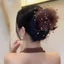 Vuốt Tóc Roly Nhựa, Thiết Kế Hoa Mẫu Đơn Thanh Lịch Cho Kẹp Tóc Nữ