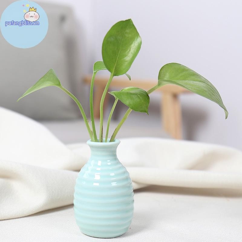 Pufangbliss Ins Gốm Sứ Bình Hoa Bắc Âu Bình Sáng Tạo Trang Trí Phòng Hoa Chai Chậu Bàn Trang Trí Bình Nhiều Màu Sắc VN