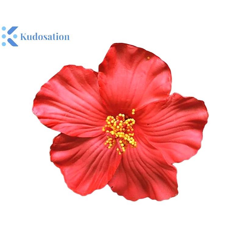 Kudosation Hawaii Hoa Nhiều Màu Sắc Cho Nữ Cô Gái Lãng Mạn Bohemian Hoa Bên Nổ Kẹp BB Kẹp Tóc Phụ Kiện Tóc