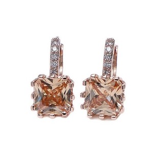 Châu Âu Mỹ ins Phong Cách Mới Vuông Zircon Hoa Hồng Vàng Tai Khóa Nữ