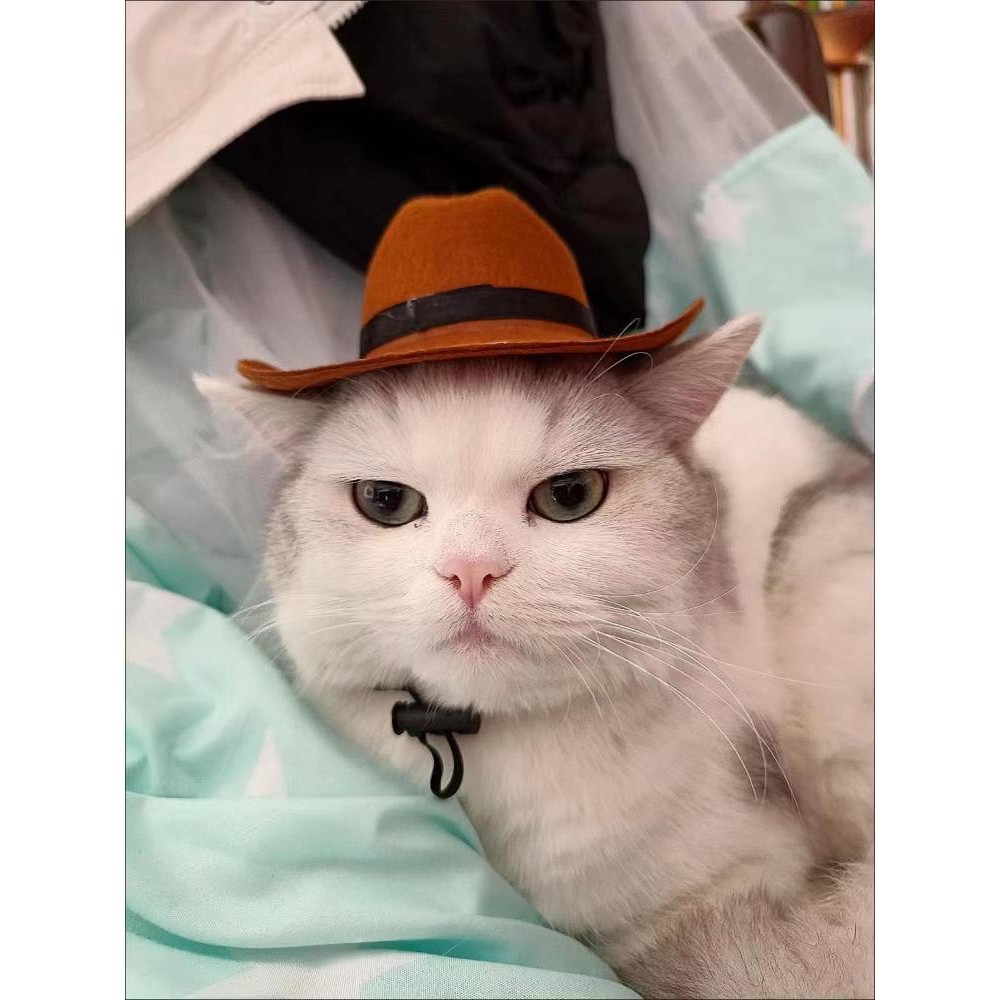 【Ready Stock】 Western Cowboy on the Run Cat Hat Dog Small Headwear Helmet Pet Photo Cute Cute Cute Mini 1YfM