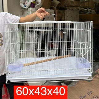 Lồng chứa chim - lồng tập trung - lồng sơn tĩnh điện