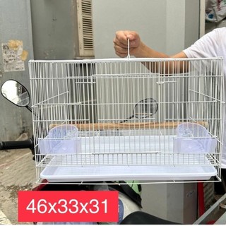 Lồng chứa chim - lồng tập trung - lồng sơn tĩnh điện