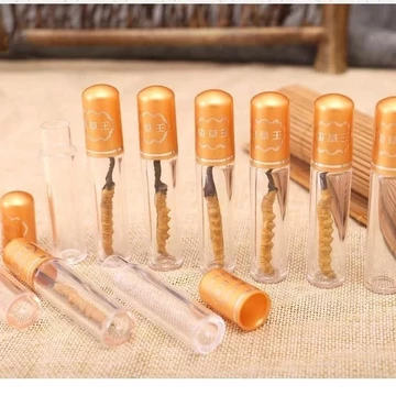 Đông trùng hạ thảo loại đứt cao cấp năm 2024 được tuyển chọn khuyên dùng, đông trùng hạ thảo tươi nguyên chất từ thịt, h