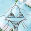 Bộ Bikini Đồ Bơi Nữ Bộ Đồ Tắm Hai Mảnh Cho Câu Lạc Bộ Spa Bể Bơi Đi Biển