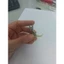 Chân vịt nhựa 3 ly, 5ly máy công nghiệp 1 kim combo 5c CHÍNH HÃNG Phụ kiện ngành may